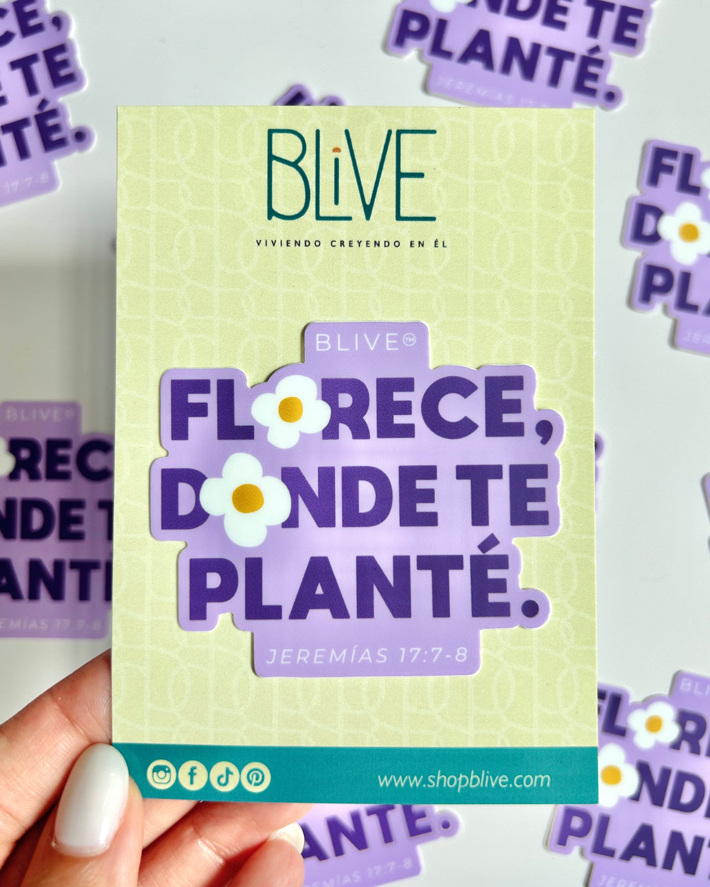 Florece en Él- Sticker (18)