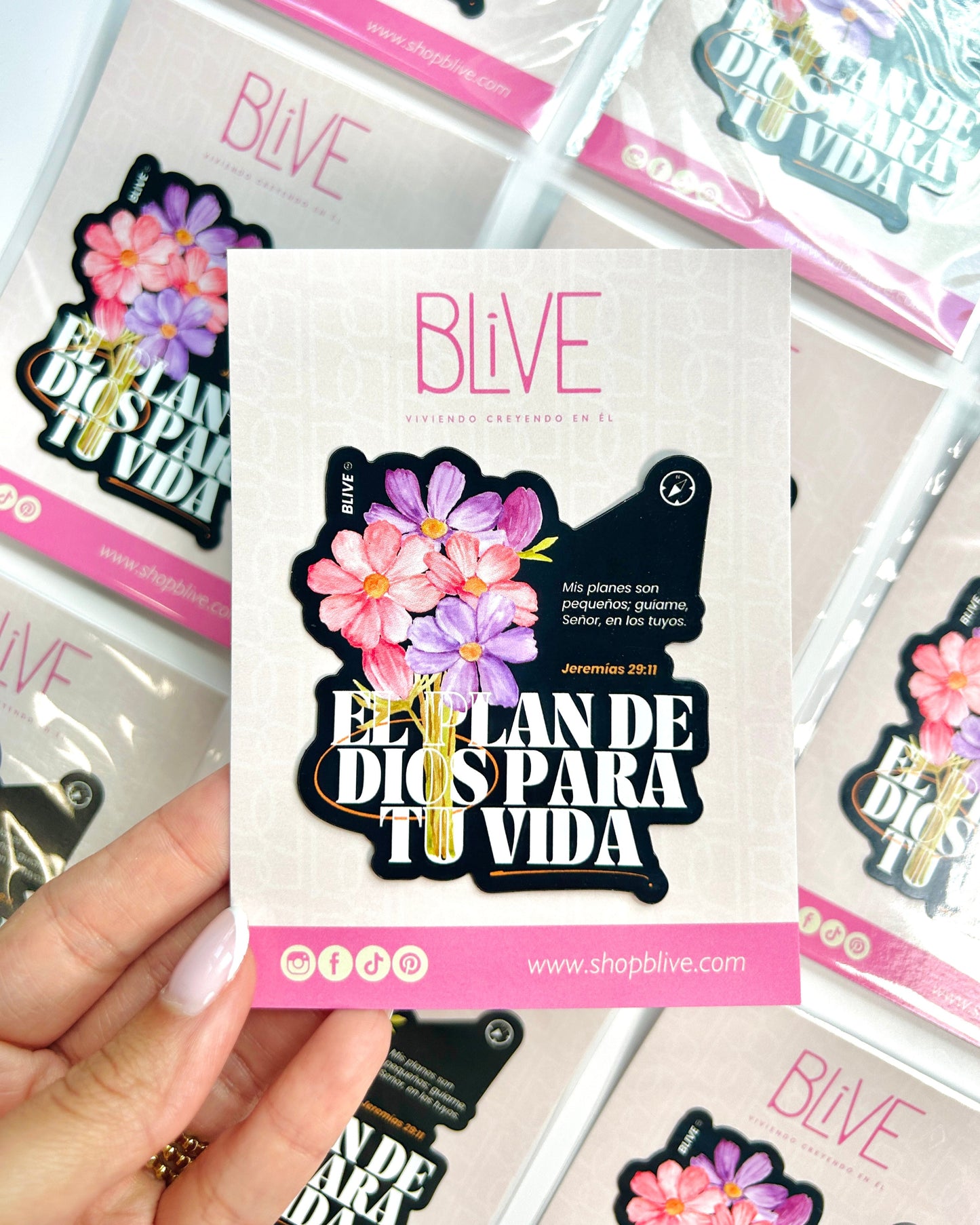 El Plan de Dios - Premium Magnet (08)