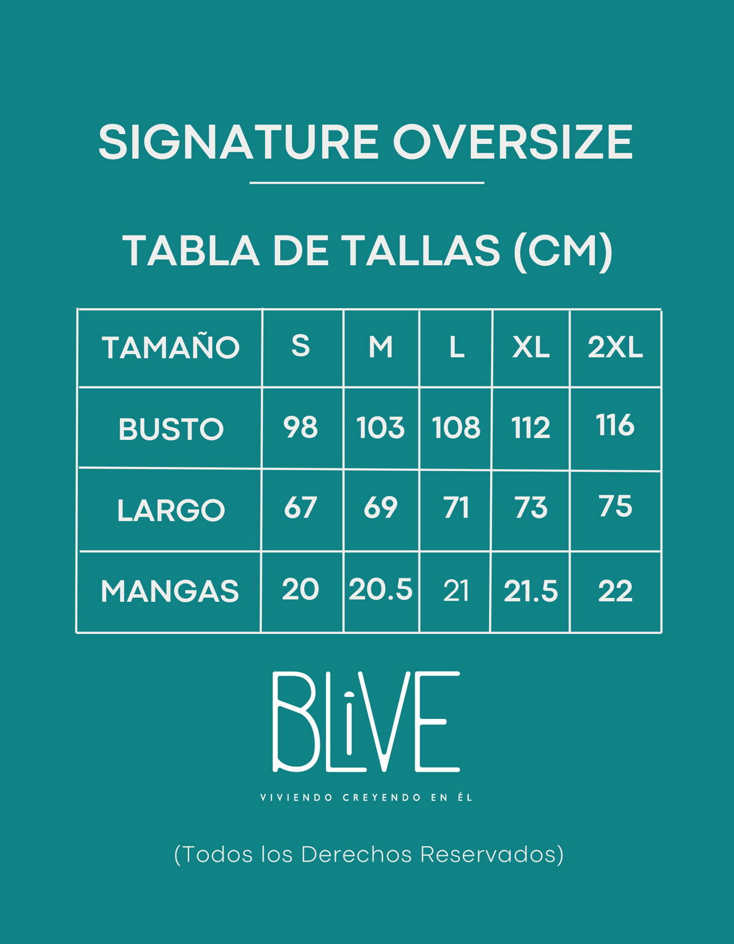 Él nunca cambia | Camisa bordada (17)