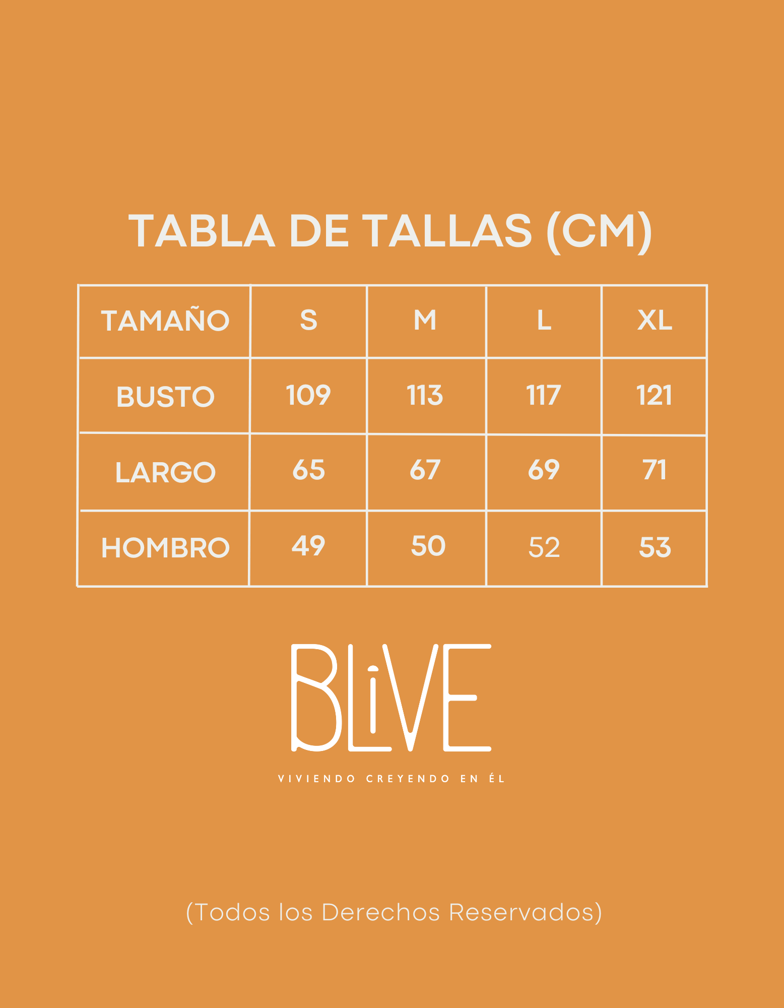 Su Promesa es Eterna | Hoodie