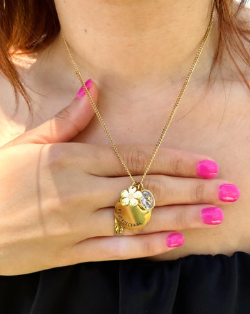 Reverdecerás (Job 14:7-9)- Collar (04)